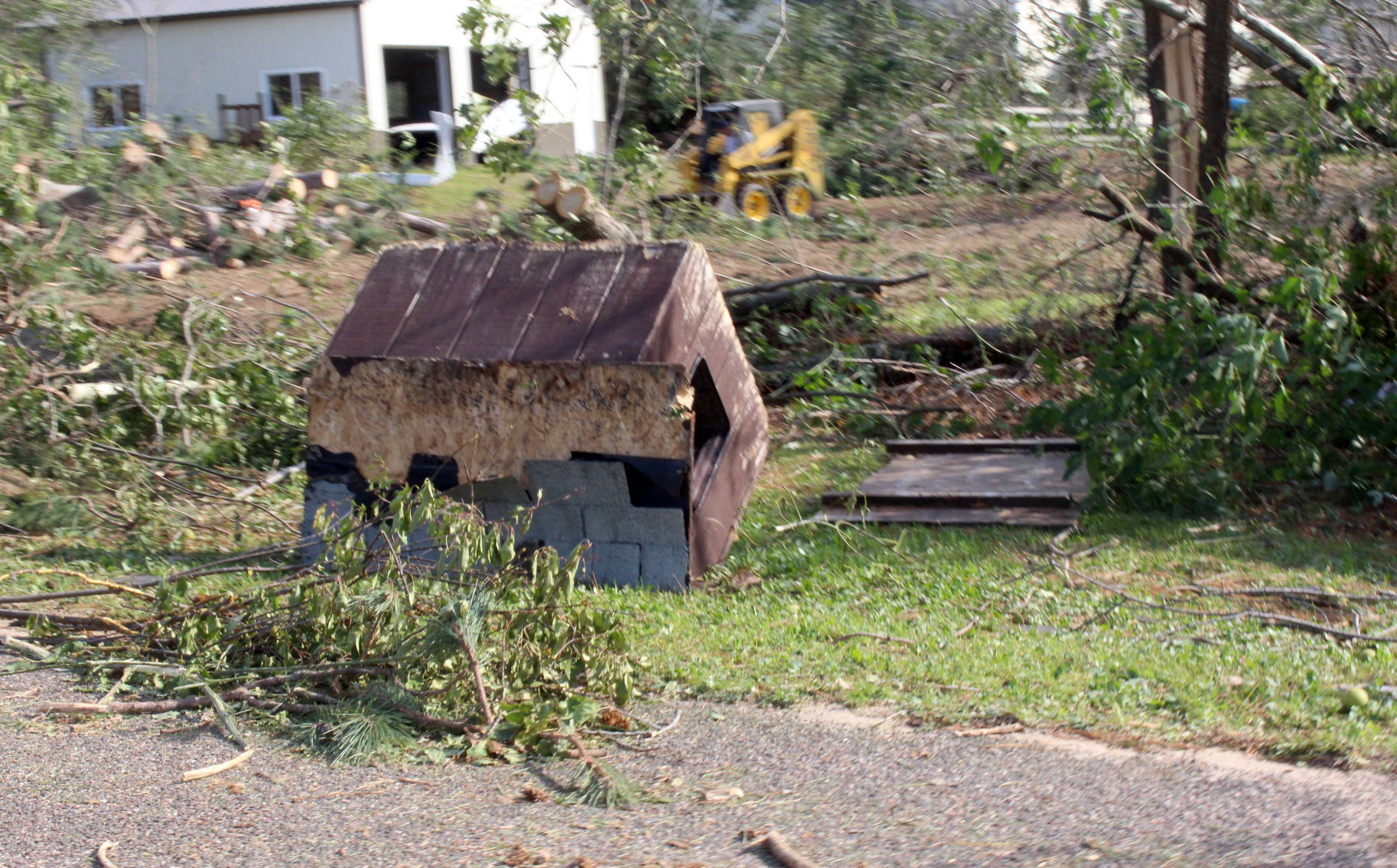 Tornado damage near Wheaton and Elk Mound 9-25-19